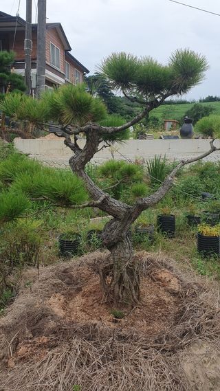 알 수 없음님의 자유주제 · 사진전 작성글 사진