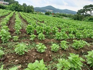 이정민님의 자유주제 · 자유게시판 작성글 사진