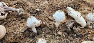 정재현님의 자유주제 · 자유게시판 작성글 사진