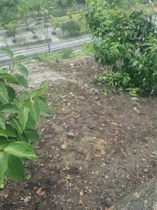 김용대님의 자유주제 · 자유게시판 작성글 사진