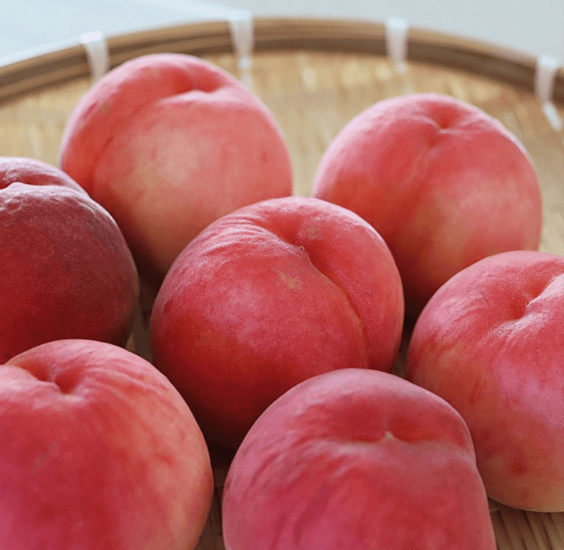 장터 상품 [(특가) 딱딱이 털복숭아] 썸네일