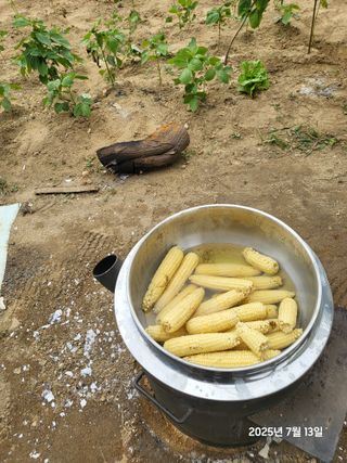 강정아님의 자유주제 · 자유게시판 작성글 사진