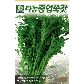 주주씨앗님의 작성글 사진