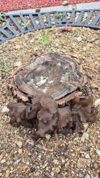 이애숙님의 자유주제 · 자유게시판 작성글 사진