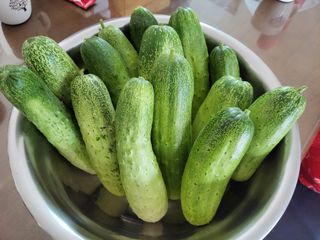 원빈님의 자유주제 · 자유게시판 작성글 사진