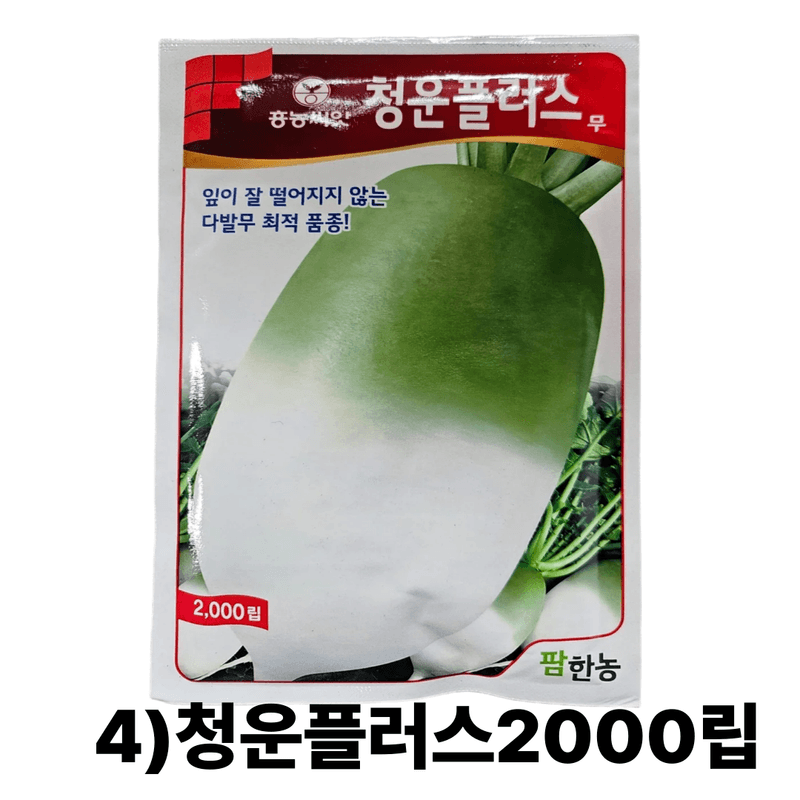 대산농사대장님의 장터 판매 상품 [동오시드 통일김장무 씨앗 15g 약 천립] 첨부 사진