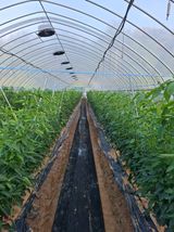 팜모닝 자유주제·사진전 게시글 이미지