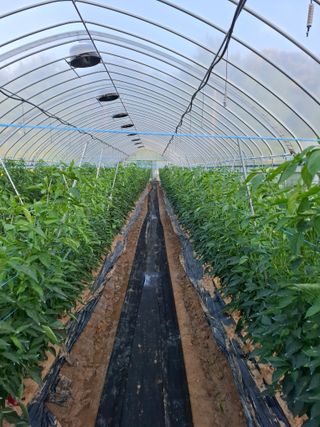 지창환님의 자유주제 · 사진전 작성글 사진