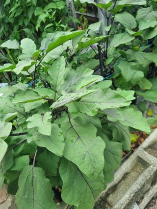 김용대님의 자유주제 · 자유게시판 작성글 사진