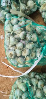 팜모닝 · 게시글 이미지