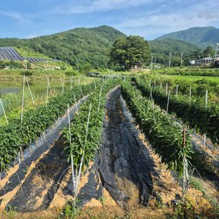 박흠님의 자유주제 · 사진전 작성글 사진