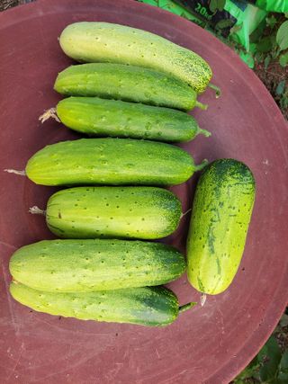 원빈님의 작성글 사진