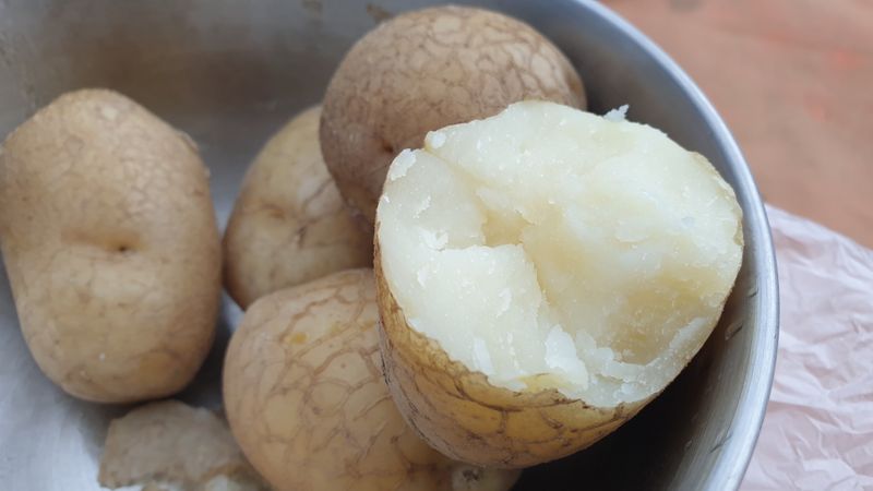 농부아내님의 장터 판매 상품 [해풍과 솔향기 듬뿍, 맛있는 감자] 첨부 사진