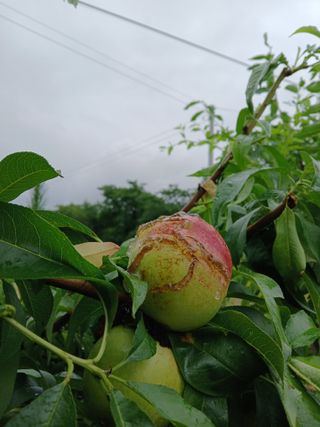 호박16023님의 자유주제 · 자유게시판 작성글 사진