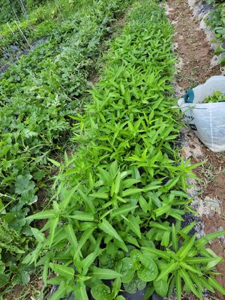 원빈님의 작성글 사진