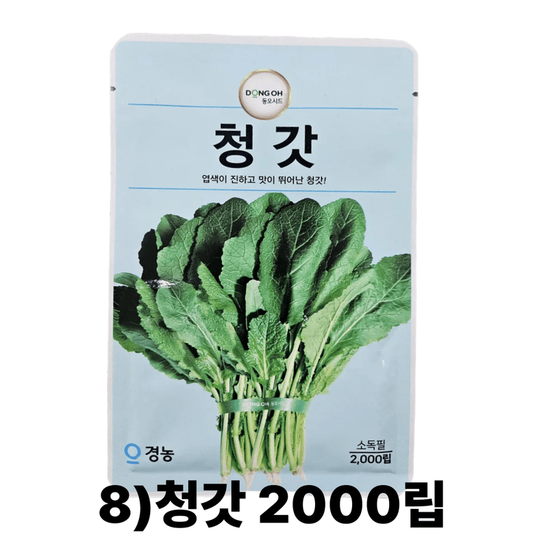 대산농사대장님의 장터 판매 상품 [동오시드 통일김장무 씨앗 15g 약 천립] 첨부 사진