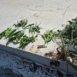 박흠님의 자유주제 · 사진전 작성글 사진