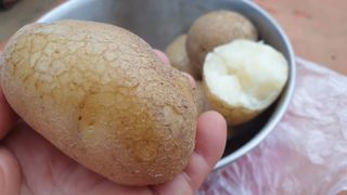 농부아내님의 작성글 사진