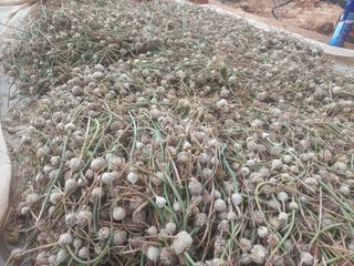 박린님의 작성글 사진