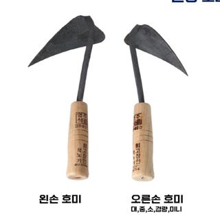 아시아종묘님의 자유주제 · 자유게시판 작성글 사진