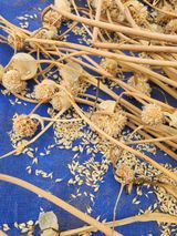 팜모닝 · 게시글 이미지