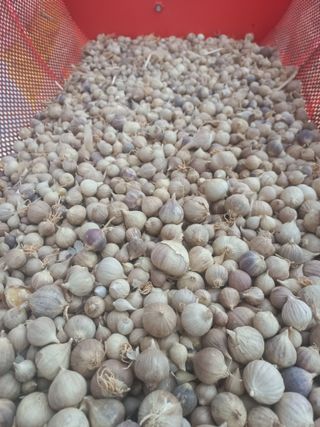 박린님의 작성글 사진