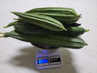 원빈님의 작성글 사진