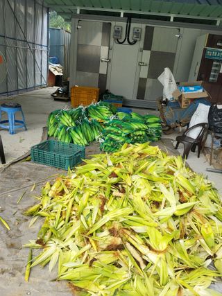 이연화님의 자유주제 · 자유게시판 작성글 사진