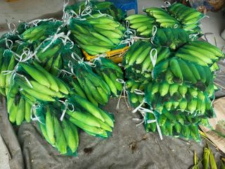 이연화님의 자유주제 · 자유게시판 작성글 사진