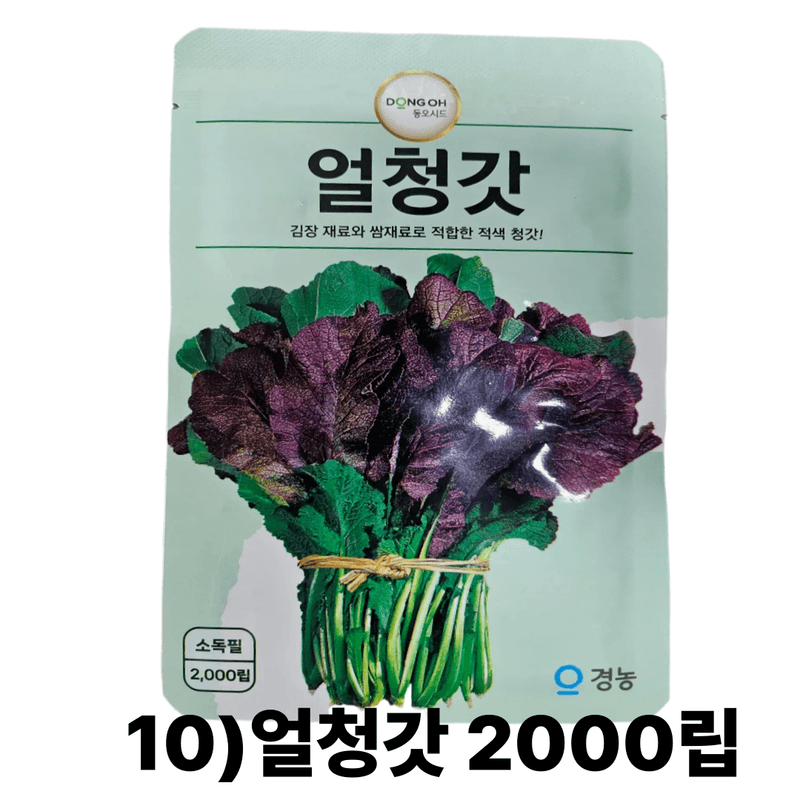 대산농사대장님의 장터 판매 상품 [동오시드 통일김장무 씨앗 15g 약 천립] 첨부 사진