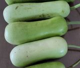 팜모닝 · 게시글 이미지