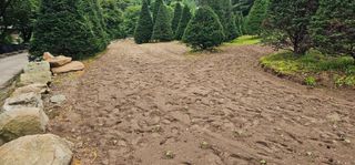 윤태희님의 자유주제 · 자유게시판 작성글 사진