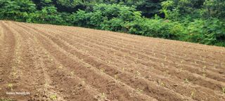 가루개님의 자유주제 · 자유게시판 작성글 사진