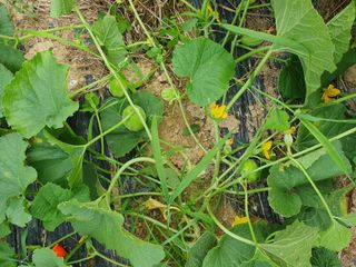 김양석님의 자유주제 · 자유게시판 작성글 사진