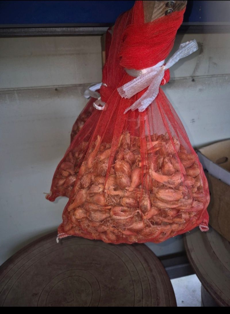 남공우님의 장터 판매 상품 [쪽파씨2kg] 첨부 사진