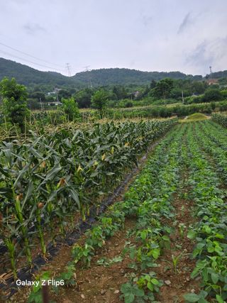 18635나여기에님의 자유주제 · 자유게시판 작성글 사진