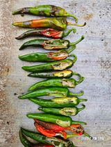 팜모닝 자유주제·자유게시판 게시글 이미지