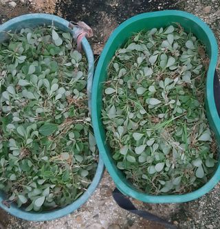 하은와송~♡♡♡~님의 자유주제 · 자유게시판 작성글 사진