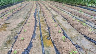 김진님의 자유주제 · 자유게시판 작성글 사진