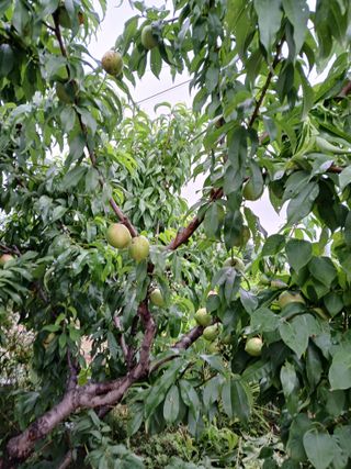 호박16023님의 자유주제 · 자유게시판 작성글 사진