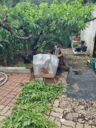 김용대님의 자유주제 · 자유게시판 작성글 사진