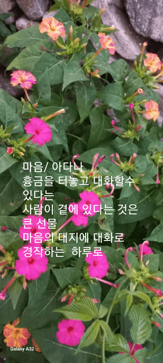 행복농장아다나님의 자유주제 · 자유게시판 작성글 사진