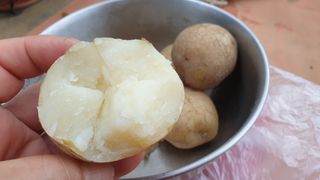 농부아내님의 작성글 사진