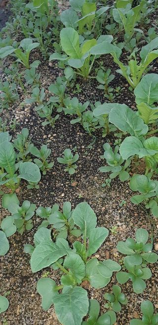 하은와송~♡♡♡~님의 자유주제 · 자유게시판 작성글 사진