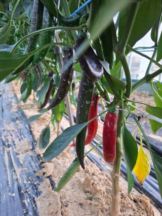 지창환님의 자유주제 · 사진전 작성글 사진