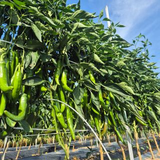 박흠님의 자유주제 · 사진전 작성글 사진