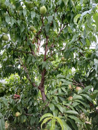 호박16023님의 자유주제 · 자유게시판 작성글 사진