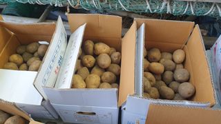 농부아내님의 작성글 사진