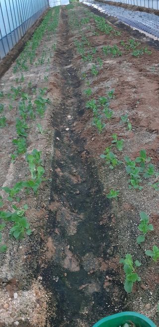 하은와송~♡♡♡~님의 자유주제 · 자유게시판 작성글 사진