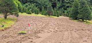 윤태희님의 자유주제 · 자유게시판 작성글 사진